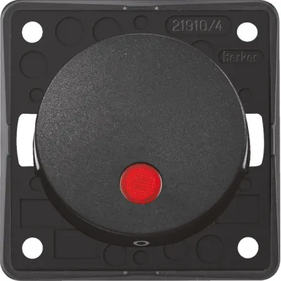 Berker Kontroll-Wippschalter anth/ma 12V rt Linse 937622535