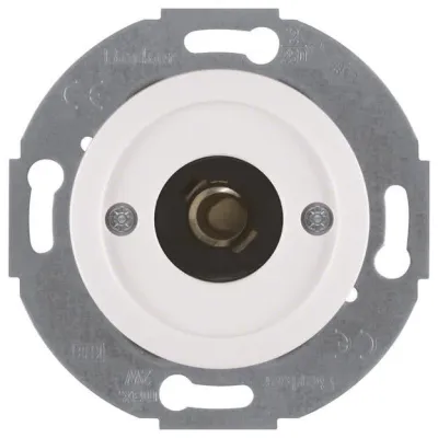 Berker Drucktaster & Lichtsignal 5104 | E10 Fassung | Unterputz | polarweiß glänzend | Serie 1930/Glas | 250V | max. 2W