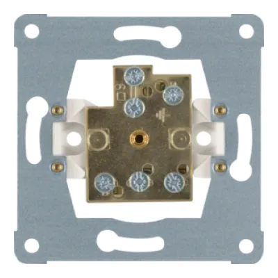 Berker Doppel-Potenzialausgleichs-Steckdose 1061 | 2-fach Unterputz | Schraubklemmen | max. 6mm² | DIN 42801