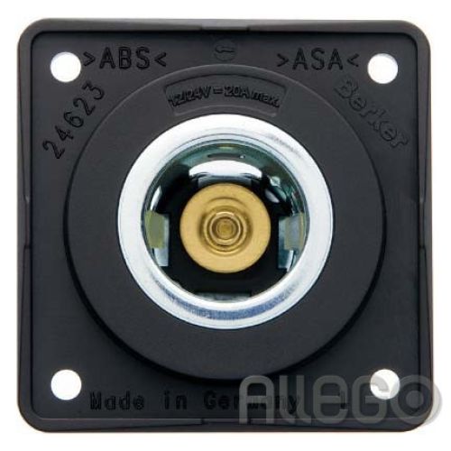 Bild: Berker Power-Steckdose anth matt,12V 845712505