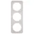Bild: Berker Rahmen 3-fach R.1 10132174 | Abdeckrahmen Aluminium matt | horizontal/vertikal | Alu polarweiß | Unterputz IP20