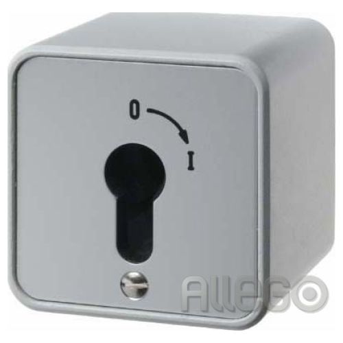 Bild: Berker Schlüsselschalter 2p. AP 4466