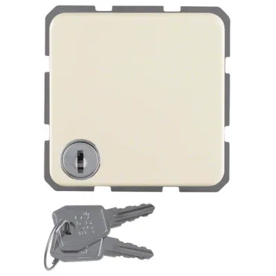 Berker Schuko-Steckdose ws mit Klappdeckel 4763