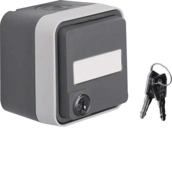 Berker SCHUKO Steckdose 47393505 | W.1 AP IP55 | Klappdeckel | Schloss | Beschriftungsfeld | lichtgrau