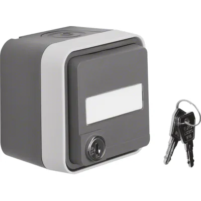 Berker SCHUKO Steckdose 47393505 | W.1 AP IP55 | Klappdeckel | Schloss | Beschriftungsfeld | lichtgrau