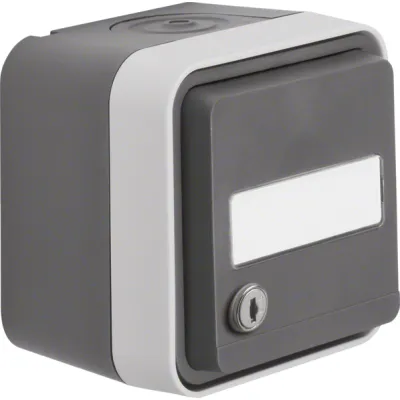 Berker Steckdose SCHUKO 47893505 | Aufputz IP55 | abschließbar | Klappdeckel | Beschriftungsfeld | grau