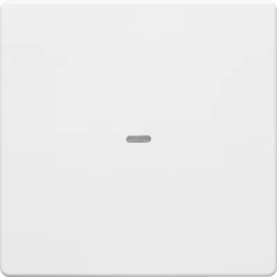 Berker Wippe 1fach 80960229 | Schalterabdeckung Q.1/Q.3 | Kontrollfenster | Kunststoff matt | polarweiß | 58x58mm | IP20