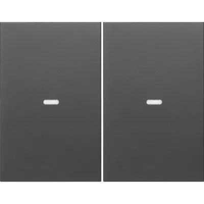 Berker Tast-Abdeckung 2f. anth 80960375