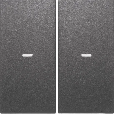 Berker Tast-Abdeckung 2f. anth 80960385