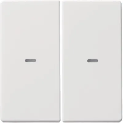 Berker Wippe 2fach 80960329 | Schalterabdeckung Q.1/Q.3 | Duroplast Kunststoff | polarweiß matt | Kontrollfenster