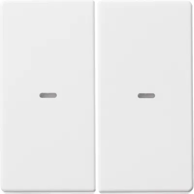 Berker Wippe 2fach 80960329 | Schalterabdeckung Q.1/Q.3 | Duroplast Kunststoff | polarweiß matt | Kontrollfenster