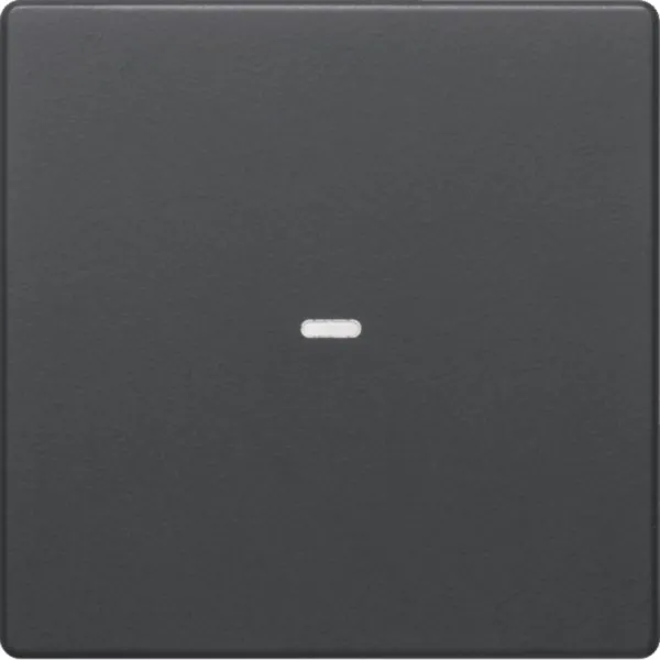 Berker Abdeckung Tastsensor 1fach 80960226 | Kontrollwippe Q.1/Q.3 | klare Linse | anthrazit matt | Kunststoff | IP20