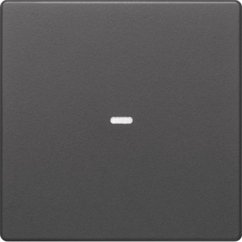 Bild: BERKER Tast-Abdeckung 80960226 Q.x 1fach anthrazit