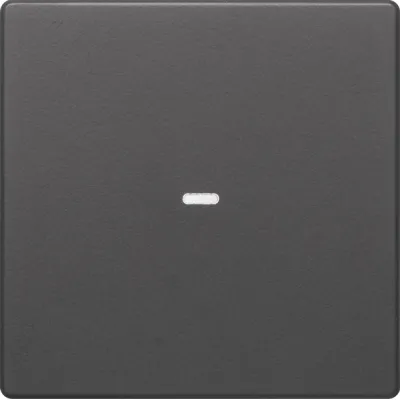 Berker Abdeckung Tastsensor 1fach 80960226 | Kontrollwippe Q.1/Q.3 | klare Linse | anthrazit matt | Kunststoff | IP20