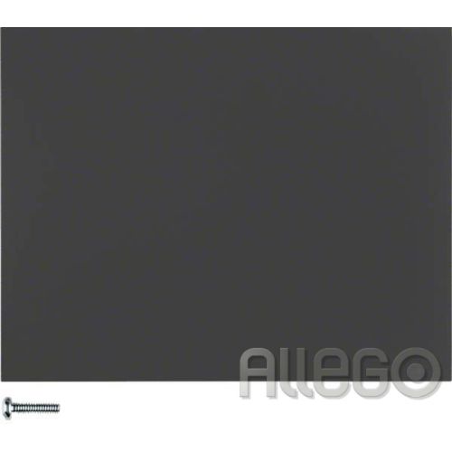 Bild: Berker Taste 1fach anthrazit matt, lack 85141175