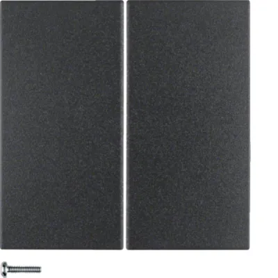 Berker Taste 2-fach 85142185 | Schalter Wippe für Dimmer/Schalt Einsatz | Kunststoff Thermoplast | matt | anthrazit