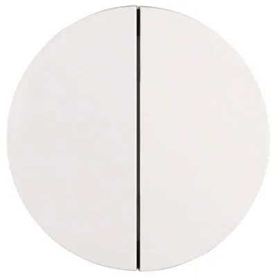 Berker Taste 2-fach R.1/R.3 85142139 | Schalter/Dimmer | Kunststoff, halogenfrei, polarweiß glänzend