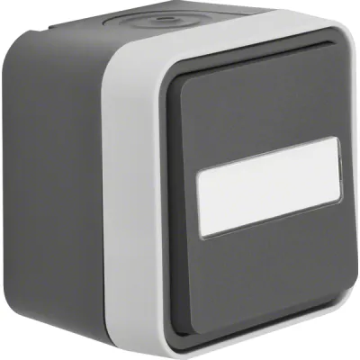 Berker Wipptaster Wechsler 50763555 | Aufputz | IP55 | beleuchtet | Beschriftungsfeld | 10A 250V | grau | Kunststoff