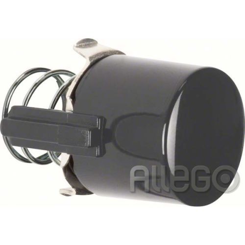 Bild: Berker Tasterknopf br 122501