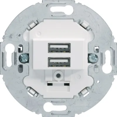 Berker USB Ladesteckdose 230V 2-fach 3A Unterputz 260219 | USB-A Ladebuchse | Schraubklemme | polarweiß matt