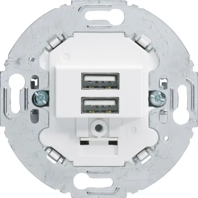 Berker USB Ladesteckdose 230V 2-fach 3A Unterputz 260219 | USB-A Ladebuchse | Schraubklemme | polarweiß matt