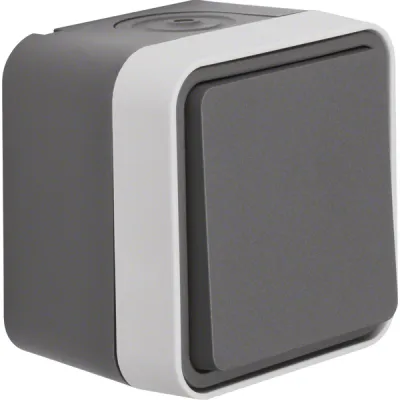Berker Wechselschalter 30763505 | Aufputz | IP55 | 1-fach | grau | Kunststoff | 250V | Wippe