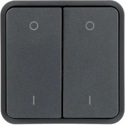 Berker Wippe 2-fach 30423555 | Schalter/Taster Abdeckung | Bedruckung 0/1 | grau matt | IP55 | Kunststoff