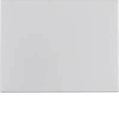 Berker Wippe 14057003 | K.5 Schalterabdeckung | Aluminium eloxiert matt | IP20 | für Aus-/Wechselschalter, Taster