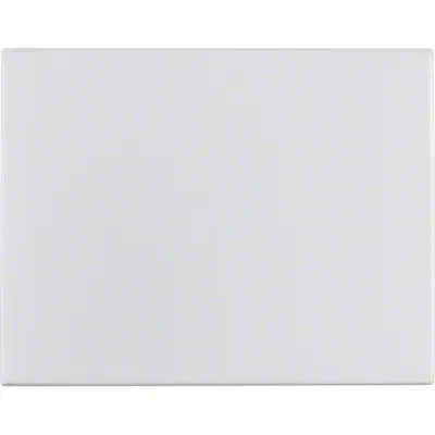 Berker Wippe 14057003 | K.5 Schalterabdeckung | Aluminium eloxiert matt | IP20 | für Aus-/Wechselschalter, Taster