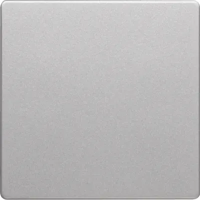 Berker Wippe für Schalter/Taster 16206084 | Q.1/Q.3 | Kunststoff Duroplast | alu matt | Bussystem geeignet