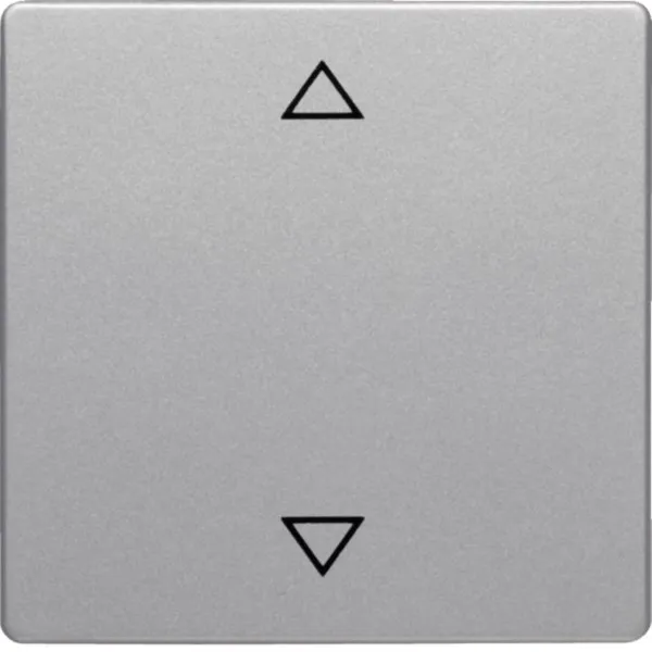Berker Wippe alu/lack Symbol Pfeil 16206074