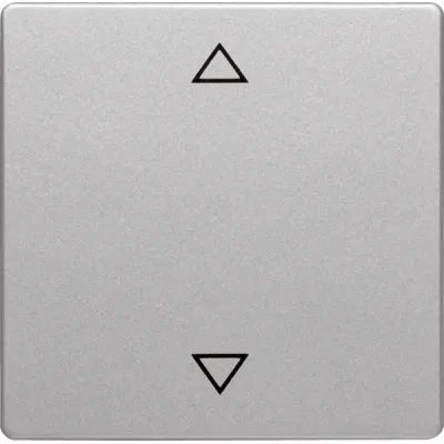Berker Wippe alu/lack Symbol Pfeil 16206074