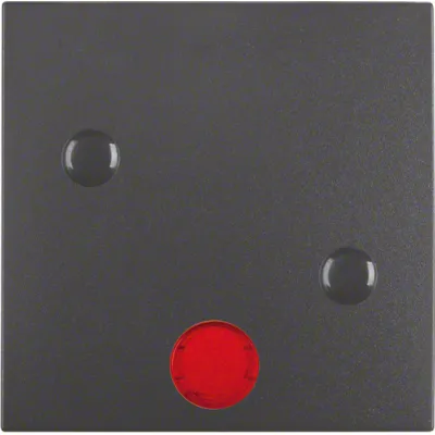 Berker Wippe anschraubbar B.3/B.7 anth 15721606