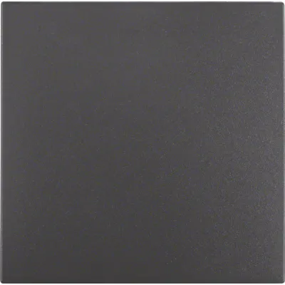 Berker Wippe 1-fach | Abdeckung B.1/B.3/B.7 | Thermoplast matt | anthrazit RAL 7021