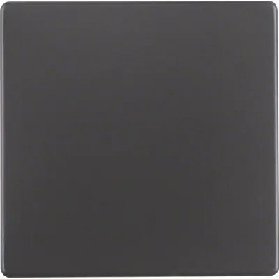Berker Wippe 16206086 Q.1/Q.3 | Schalter/Taster Abdeckung | 1-fach | Kunststoff Duroplast | matt | anthrazit RAL 7021