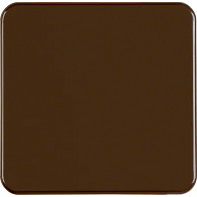 Berker Wippe 155001 | Schalter/Taster Abdeckung | UP WG IP44 | einteilig | Kunststoff glänzend | braun RAL 8011