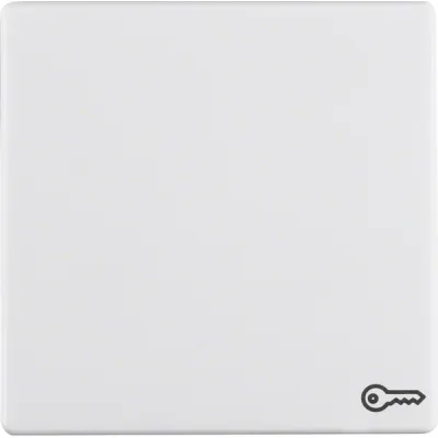 Berker Wippe 16206069 Q.1 | Symbol Tür/Schlüssel | 1-fach | Kunststoff Duroplast | matt | Klemmbefestigung | polarweiß