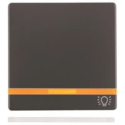 Berker Wippe mit 2 beiliegenden Linsen 16216076 Q.1/Q.3 anthrazit samt mit Aufdr