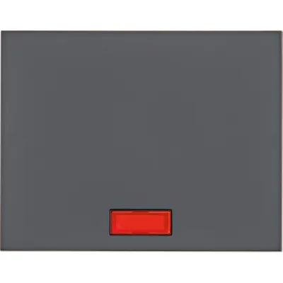 Berker Wippe 14157006 K.1 | Schalter/Taster Abdeckung mit 5 Symbol-Linsen | anthrazit matt | Thermoplast | IP44 | 1-fach