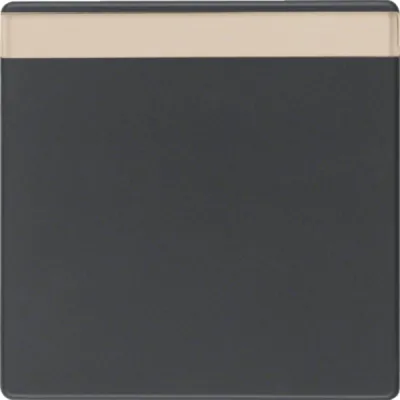 Berker Wippe mit Beschriftungsfeld 16266086 | Q.1/Q.3 | anthrazit matt | Duroplast | Klemmbefestigung | IP20
