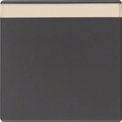 Berker Wippe mit Beschriftungsfeld 16266086 | Q.1/Q.3 | anthrazit matt | Duroplast | Klemmbefestigung | IP20