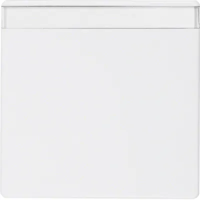 Berker Wippe 16266089 für Schalter/Taster Q.1/Q.3 | mit Beschriftungsfeld | Kunststoff Duroplast | matt | polarweiß