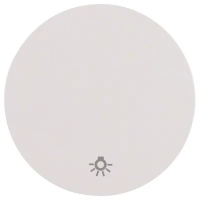 Berker Wippe Schalter 16202079 | Symbol Licht | R.1/R.3 Serie | Klemmbefestigung | Kunststoff | polarweiß glänzend