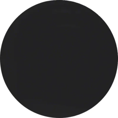 Berker Wippe R.Classic schwarz matt MAN0306324