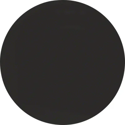 Berker Wippe R.1/R.3 16202045 | Schalter/Taster | 1-fach | Kunststoff Thermoplast | IP44 | glänzend | schwarz