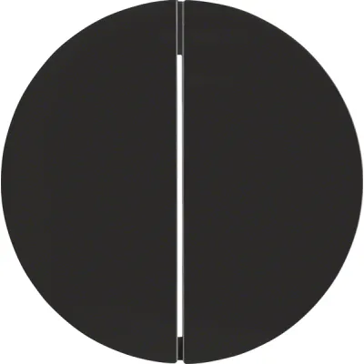 Berker Wippe 2-fach 16232045 R.1/R.3 | Schalter/Taster | Kunststoff glänzend schwarz | IP20 | halogenfrei