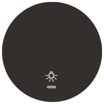 Berker Wippe sw/gl Linse/Symbol Licht 16212035