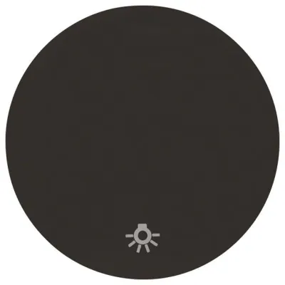 Berker Wippe sw/gl m. Aufdruck Licht 16202035