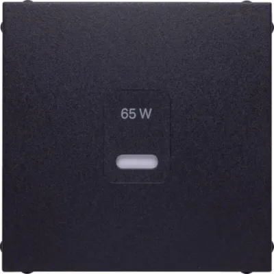 Berker Zentralplatte USB Typ C 48601606 | Unterputz | 55x55 mm | Thermoplast | matt | anthrazit RAL 7021