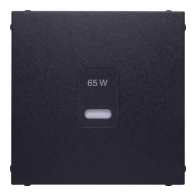 Berker Zentralplatte USB Typ C 48601606 | Unterputz | 55x55 mm | Thermoplast | matt | anthrazit RAL 7021